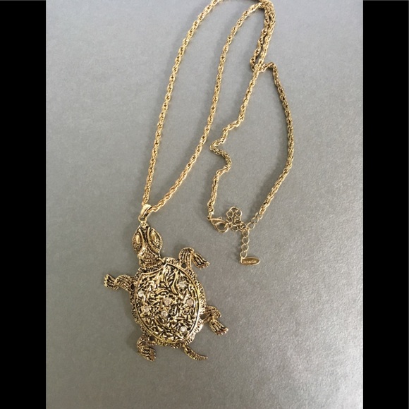 The tortoise wins this race! - Picture 3 of 4